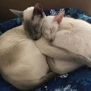 Meet your Posher, Joanne